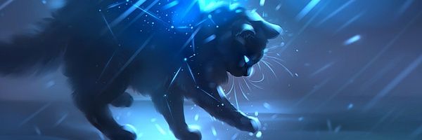 Tringer Linger CoC banner