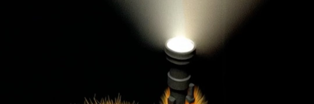 FelSL banner