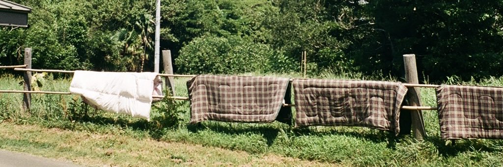 𝙙𝙤𝙢𝙞︎ banner