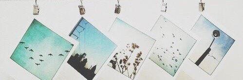 Lourafebrina's profile banner image