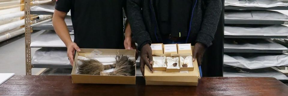 Indigenising Manchester Museum banner