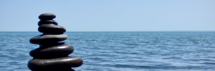 nmzajicek's profile banner image