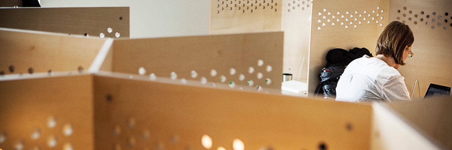 Centre for Integrative Business Psychology banner