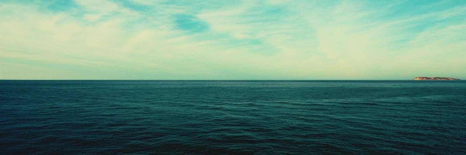 katya446's profile banner image