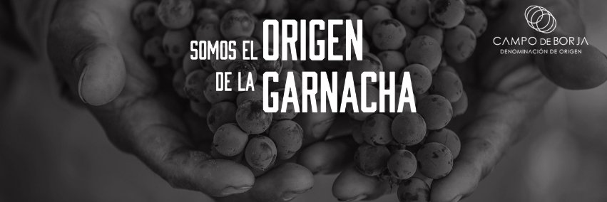 DOP Campo de Borja banner