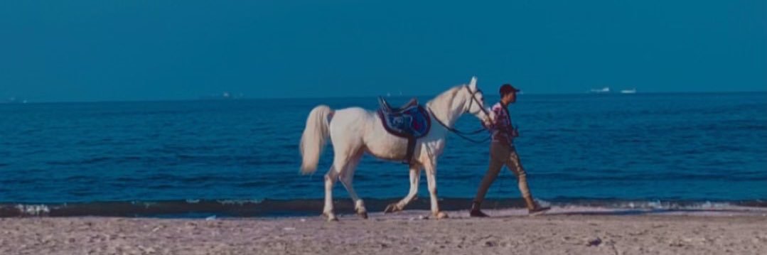 abo7me3's profile banner image