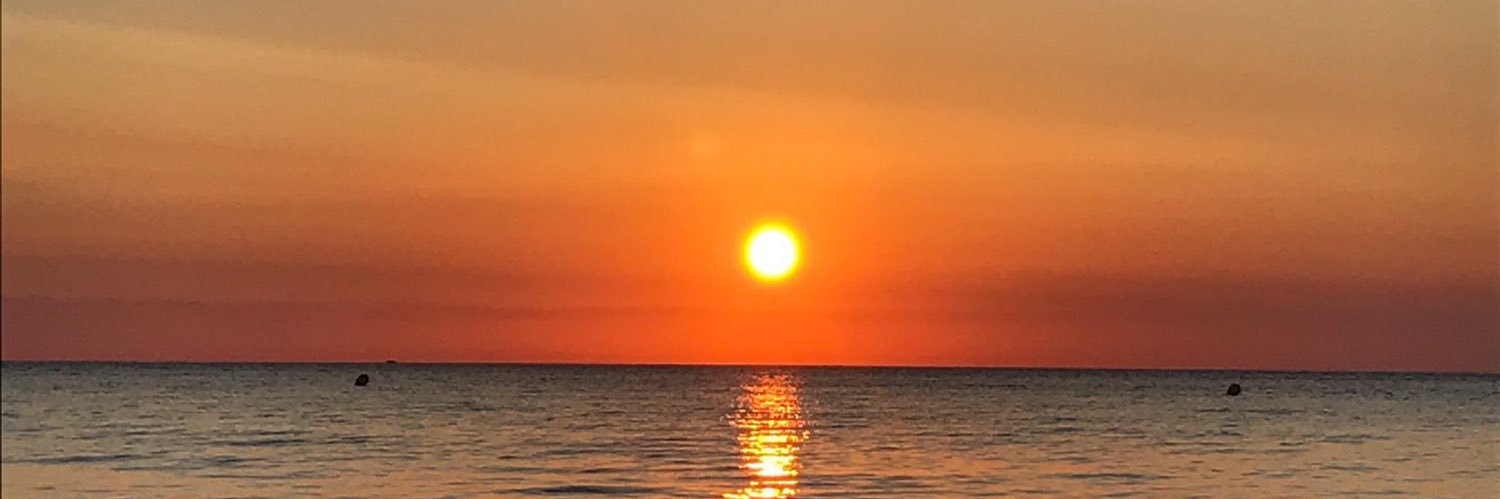 toneeeloo's profile banner image