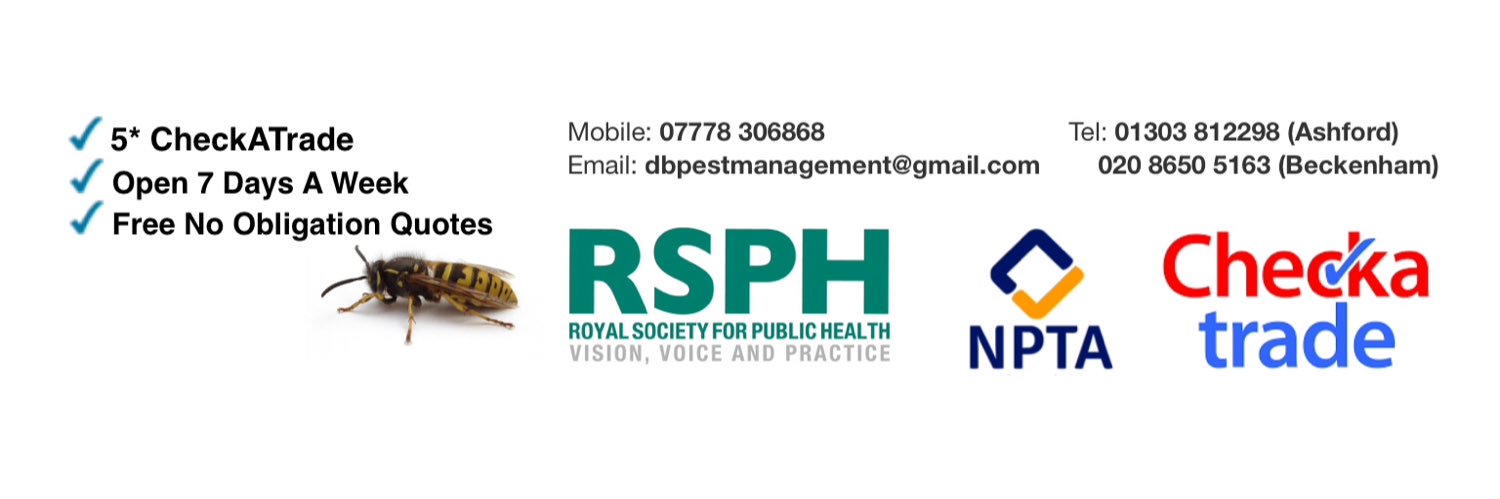 dbpestcontrol's profile banner image