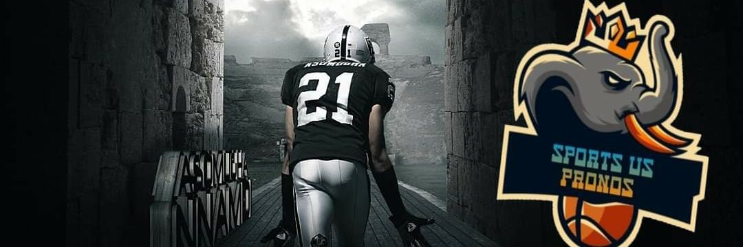 Sports Us Pronos 🟦 banner