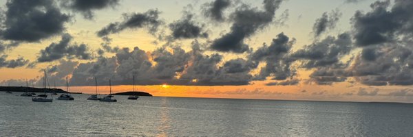 VivianTorrijos Profile Banner