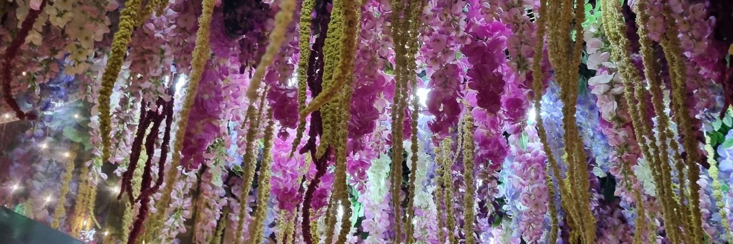 Rachel Williams banner