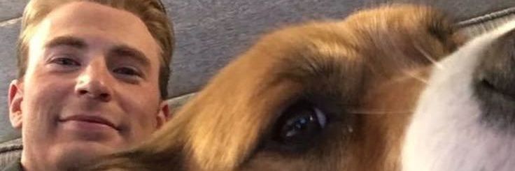 fay banner