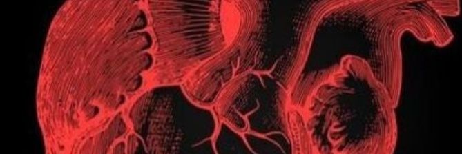Eljarito0's profile banner image