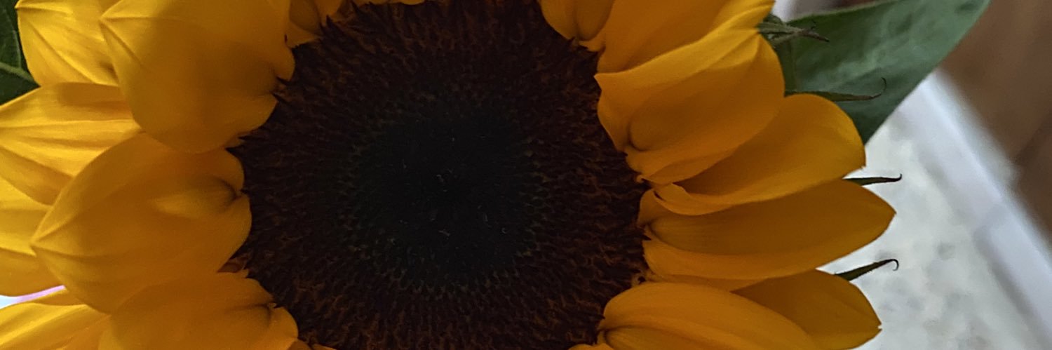 KellyCelis__'s profile banner image