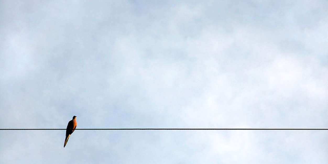 orijinalyusprof's profile banner image