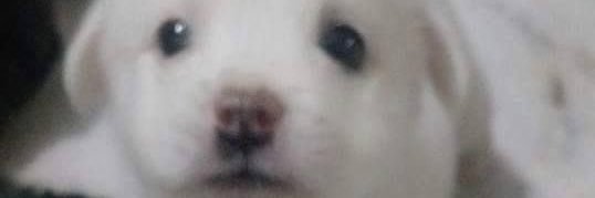 disappointmemt's profile banner image