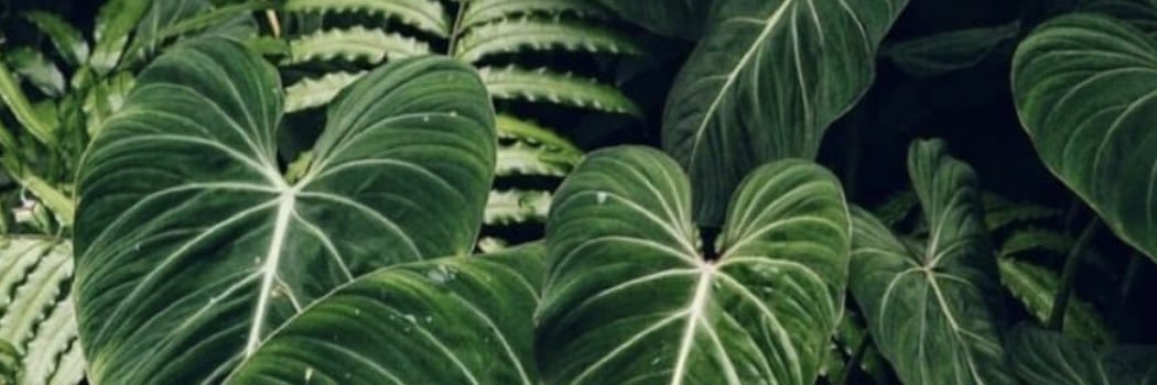 Emily__mrn's profile banner image