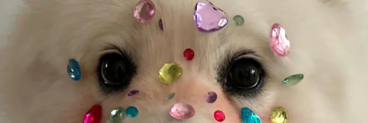 danielalceb's profile banner image