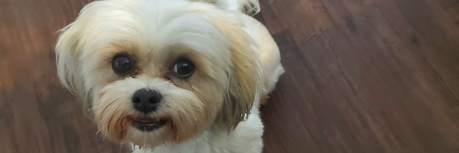 runteldat9's profile banner image