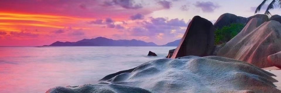 tanmansky 🐬TermMax banner