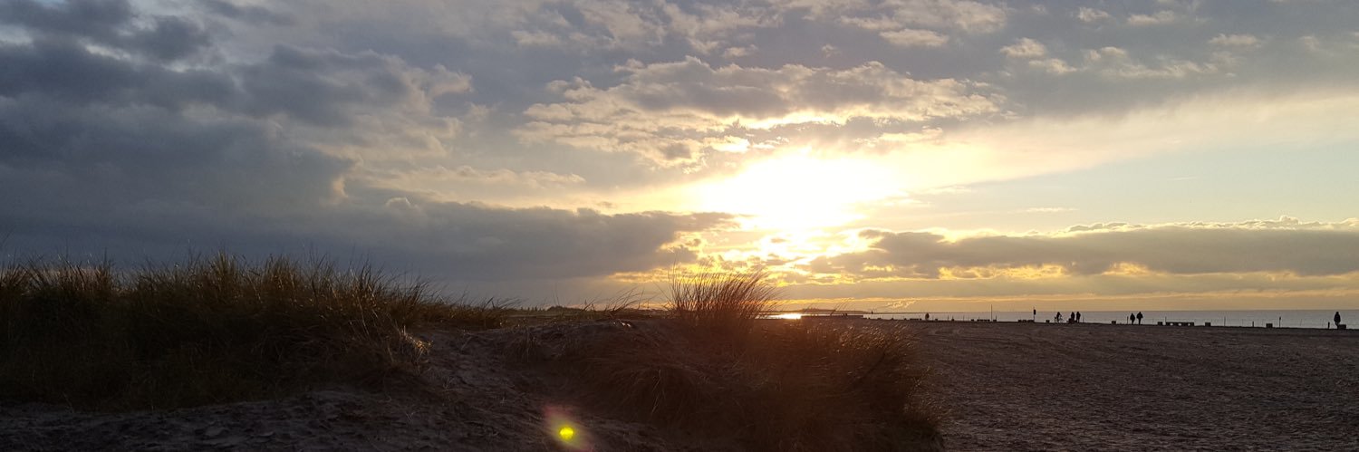 Nic 🍀🌻☀️ banner