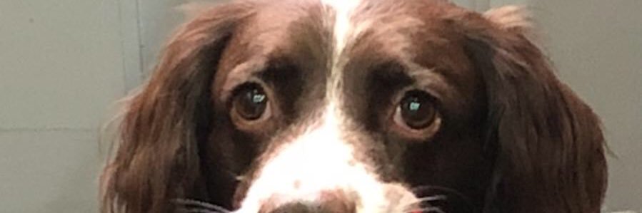 Ebabe_'s profile banner image