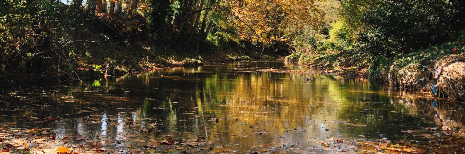 Marcel Morilla banner