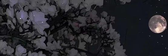 fwynn6's profile banner image