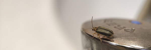 miqueleg0 Profile Banner