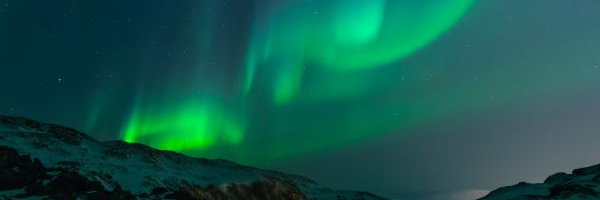 FallenLeaf | 🔑 banner