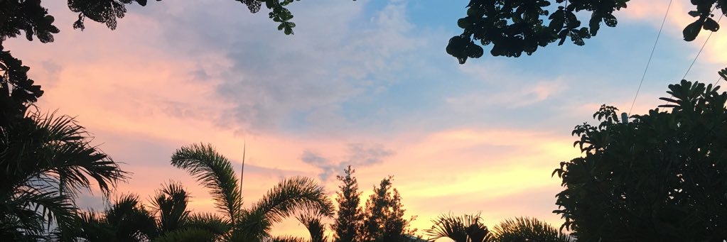 98___mz's profile banner image