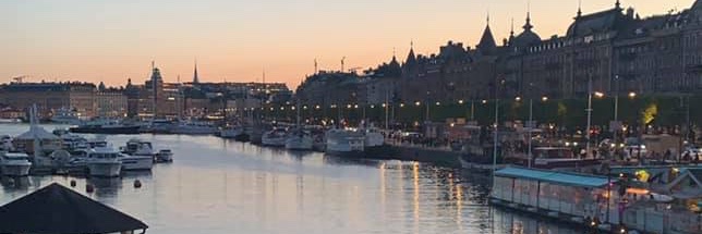 Tamires Duarte Afonso Serdan banner