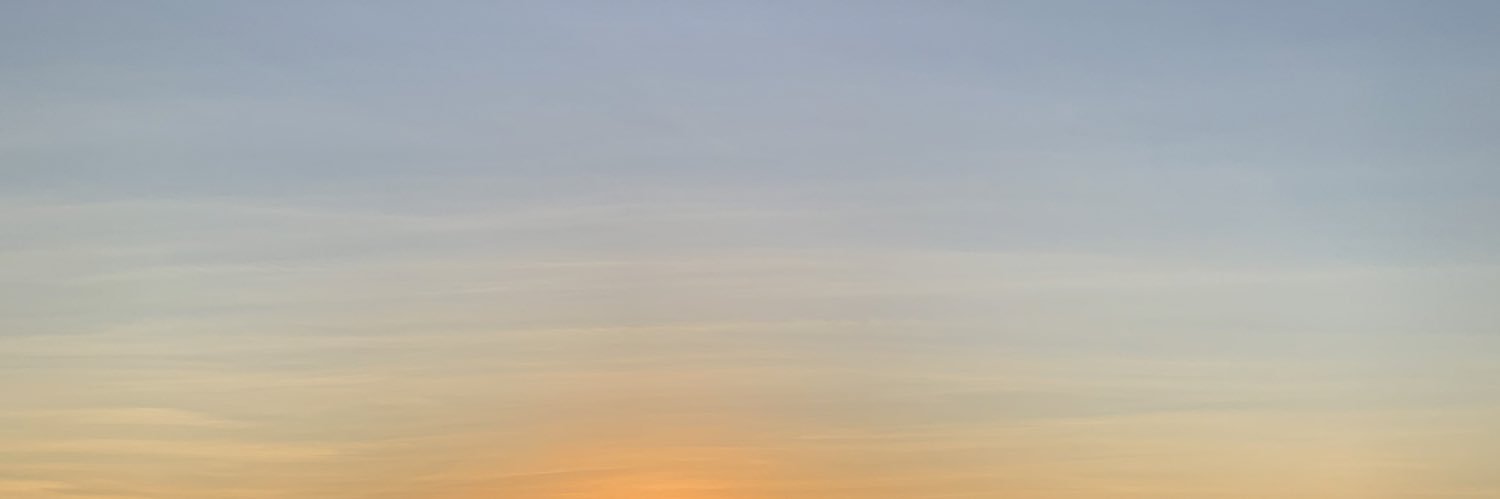 pontesTP's profile banner image
