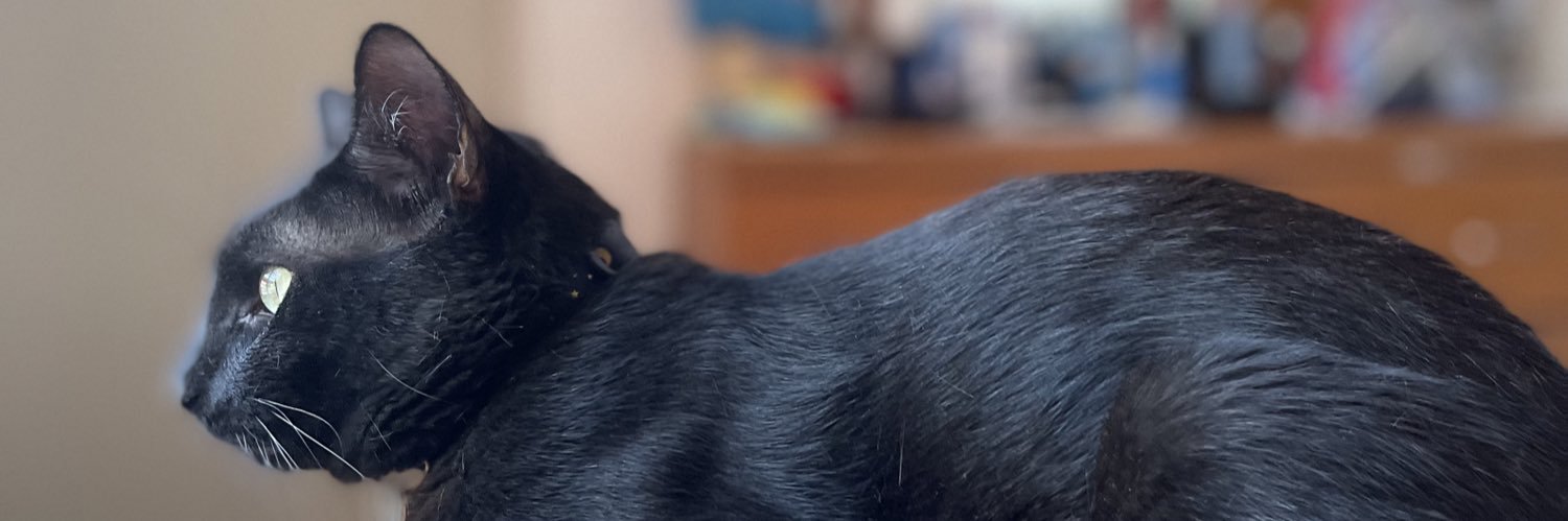 Checoherrod's profile banner image