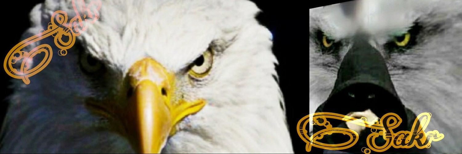 VIP42457208's profile banner image