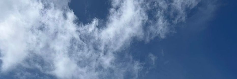 Anja_________'s profile banner image
