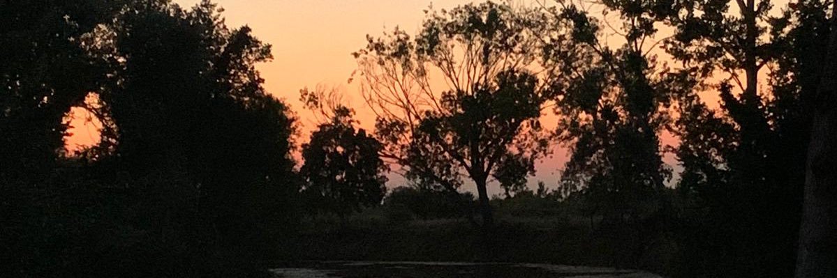 PsvoAct's profile banner image