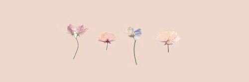 Rose77Soso's profile banner image