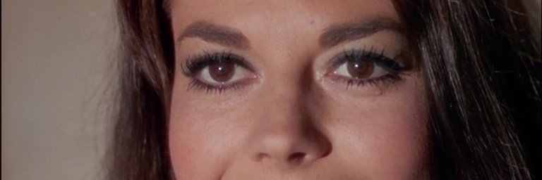 🌴Alva Starr🌴 banner