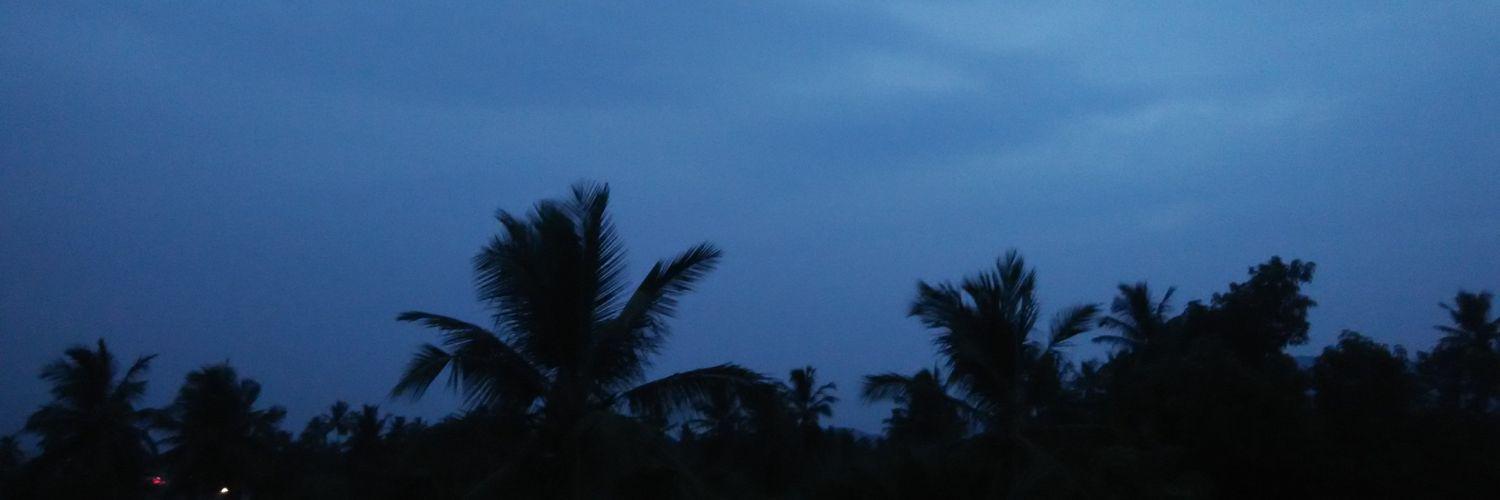 Sonitrian's profile banner image