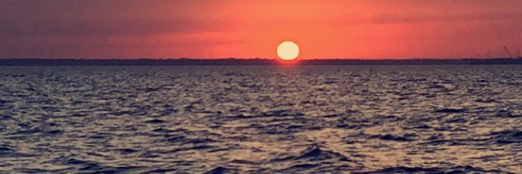 LarNWilson's profile banner image