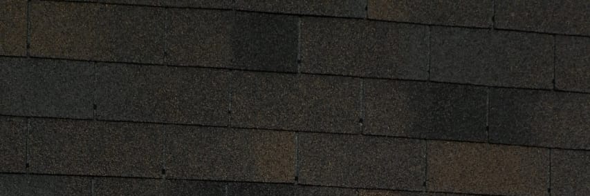 Citrabella__'s profile banner image