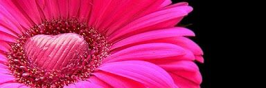 rainbow0715124's profile banner image
