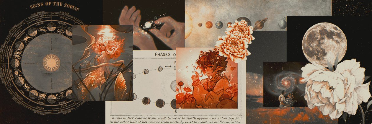thclioncss's profile banner image