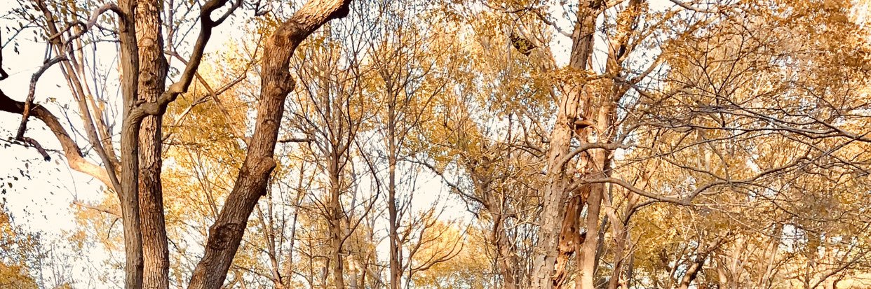Brianna1263's profile banner image
