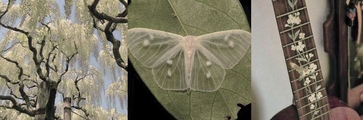 Aegyo 지국 ⁷☀️🌙 banner