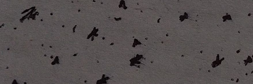 ReD_PoWdeR banner