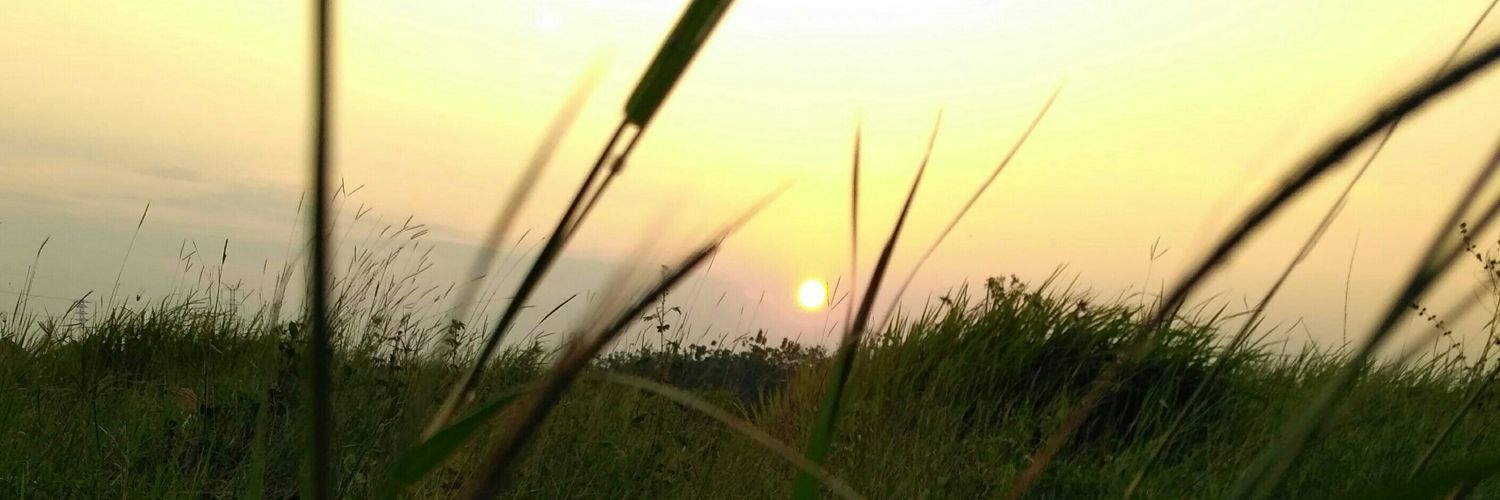 aguspelo2's profile banner image