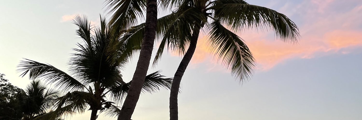 karisssaaa_'s profile banner image