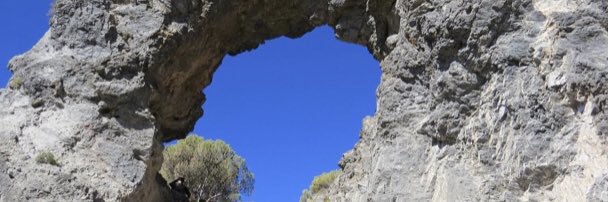 alex.arco7 banner